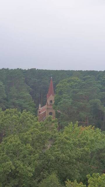 Улучшенный одноместный номер с лечебным пакетом услуг и видом на море в Санатории Санаторий Белоруссия